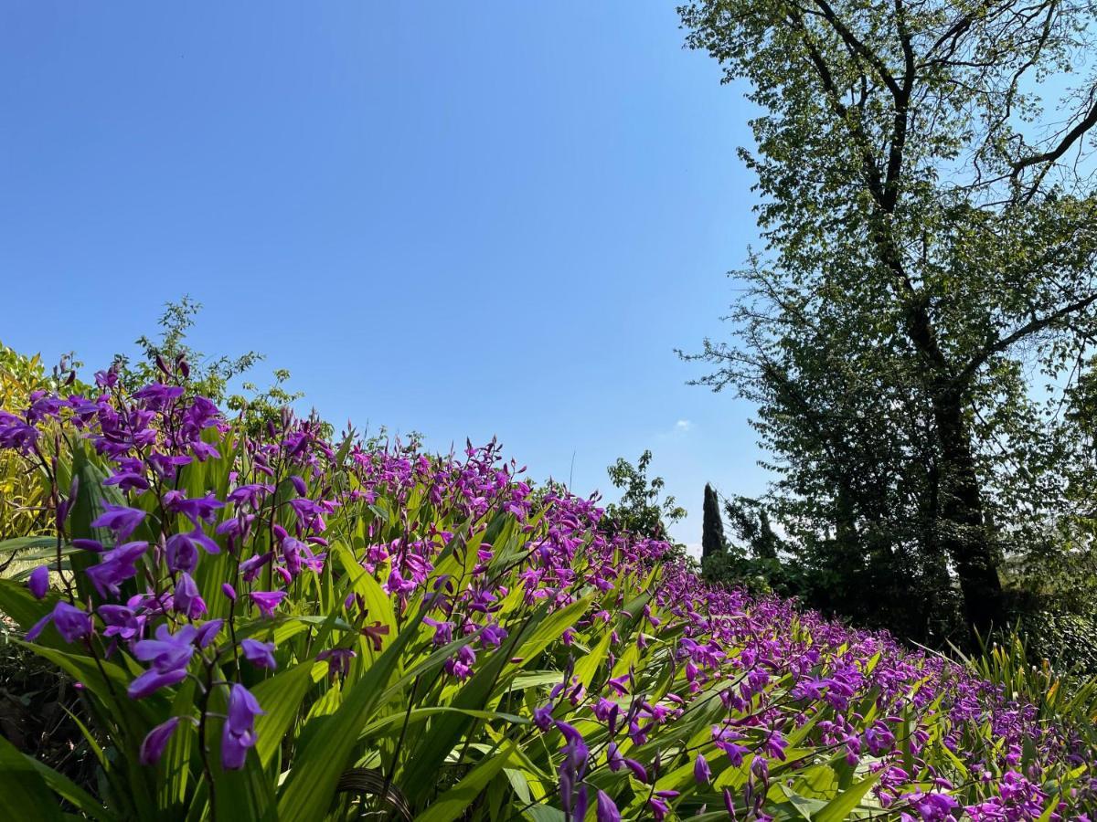 Il Mulino Di Trastevere - My Extra Home 로마 외부 사진