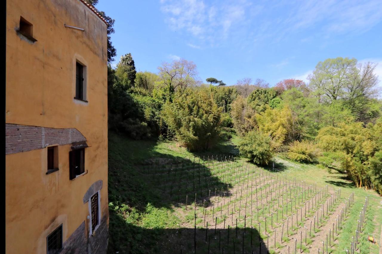 Il Mulino Di Trastevere - My Extra Home 로마 외부 사진